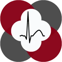 ECG Analysis for Polar H10
